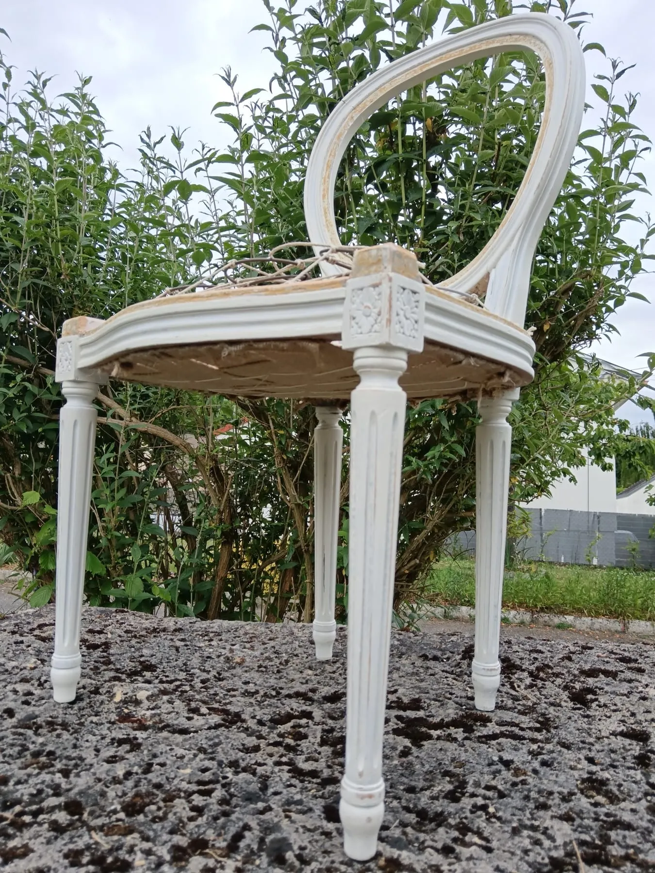 Carcasse de chaise Louis XVI dégarnie, sanglée et prête à recevoir sa garniture